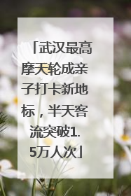 武汉最高摩天轮成亲子打卡新地标，半天客流突破1.5万人次