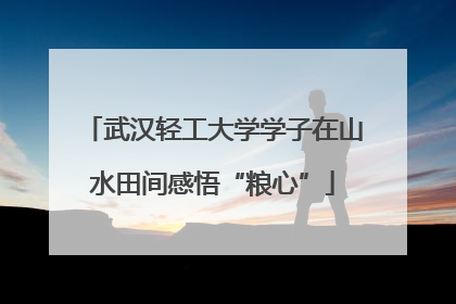 武汉轻工大学学子在山水田间感悟“粮心”