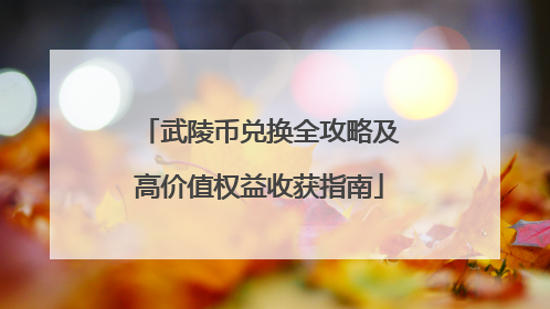 武陵币兑换全攻略及高价值权益收获指南