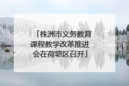 株洲市义务教育课程教学改革推进会在荷塘区召开