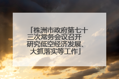 株洲市政府第七十三次常务会议召开 研究低空经济发展、大抓落实等工作
