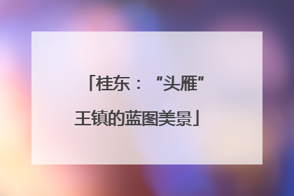桂东：“头雁”王镇的蓝图美景