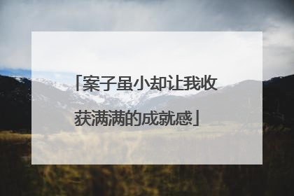 案子虽小却让我收获满满的成就感
