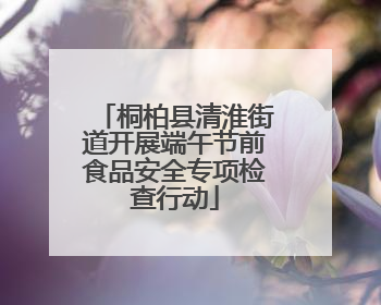 桐柏县清淮街道开展端午节前食品安全专项检查行动