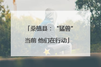 桑植县：“猛兽”当前 他们在行动