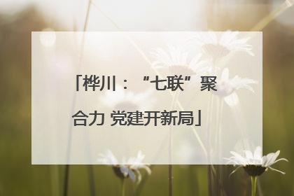 桦川：“七联”聚合力 党建开新局