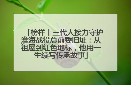 榜样丨三代人接力守护淮海战役总前委旧址：从祖屋到红色地标，他用一生续写传承故事