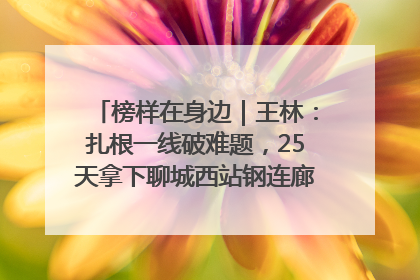 榜样在身边｜王林：扎根一线破难题，25天拿下聊城西站钢连廊“硬核”工程