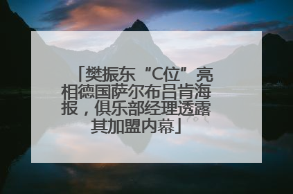 樊振东“C位”亮相德国萨尔布吕肯海报，俱乐部经理透露其加盟内幕