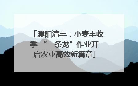 濮阳清丰：小麦丰收季 “一条龙”作业开启农业高效新篇章