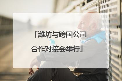 潍坊与跨国公司合作对接会举行