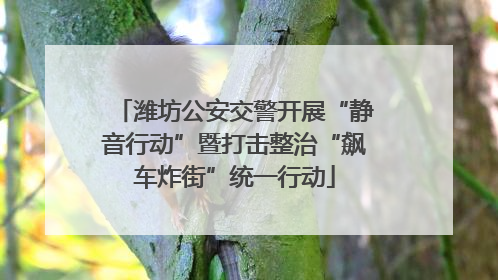 潍坊公安交警开展“静音行动”暨打击整治“飙车炸街”统一行动