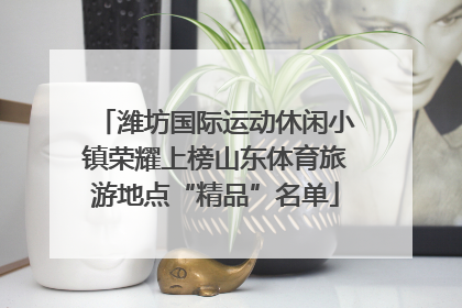潍坊国际运动休闲小镇荣耀上榜山东体育旅游地点“精品”名单