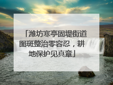 潍坊寒亭固堤街道图斑整治零容忍，耕地保护见真章