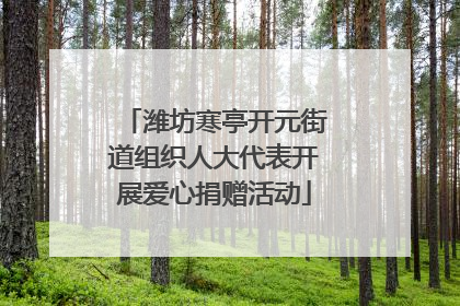 潍坊寒亭开元街道组织人大代表开展爱心捐赠活动