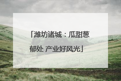 潍坊诸城：瓜甜葱郁处 产业好风光
