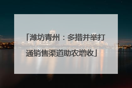 潍坊青州：多措并举打通销售渠道助农增收