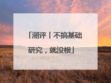 潮评丨不搞基础研究，就没根