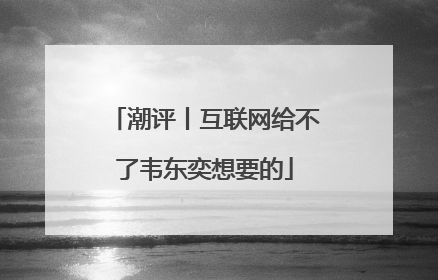 潮评丨互联网给不了韦东奕想要的