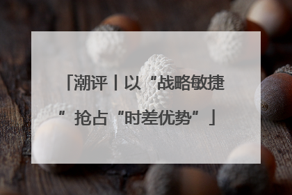 潮评丨以“战略敏捷”抢占“时差优势”