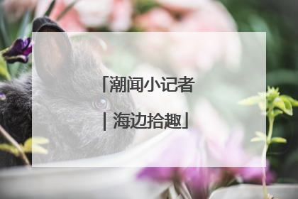 潮闻小记者｜海边拾趣