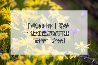 澧源时评｜桑植：让红色旅游开出“研学”之光