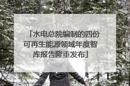 水电总院编制的四份可再生能源领域年度智库报告隆重发布
