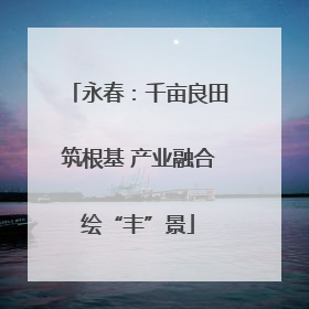 永春：千亩良田筑根基 产业融合绘“丰”景