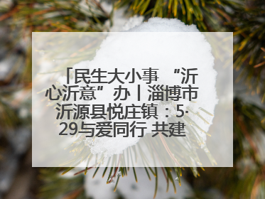 民生大小事 “沂心沂意”办丨淄博市沂源县悦庄镇：5·29与爱同行 共建生育友好社会