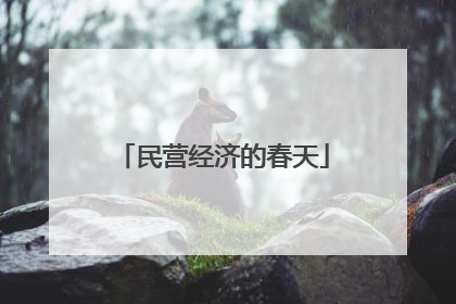民营经济的春天