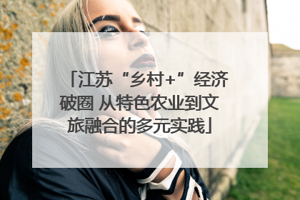 江苏“乡村+”经济破圈 从特色农业到文旅融合的多元实践