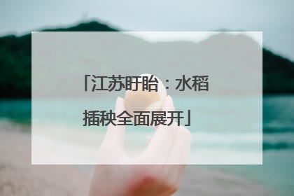 江苏盱眙：水稻插秧全面展开