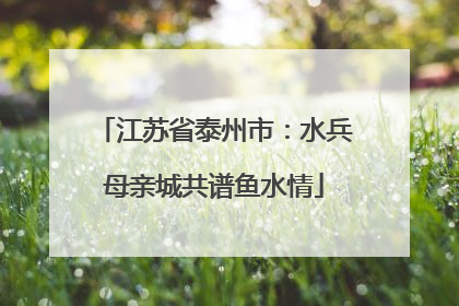 江苏省泰州市：水兵母亲城共谱鱼水情