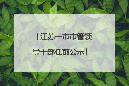 江苏一市市管领导干部任前公示