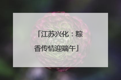 江苏兴化：粽香传情迎端午