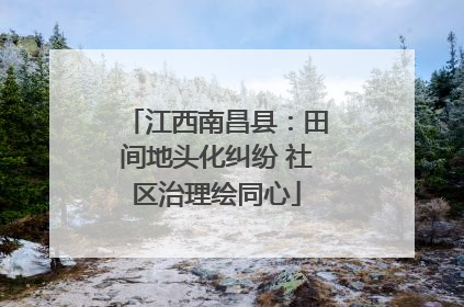 江西南昌县：田间地头化纠纷 社区治理绘同心