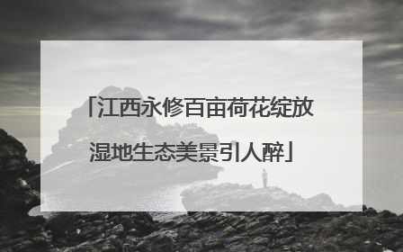 江西永修百亩荷花绽放 湿地生态美景引人醉
