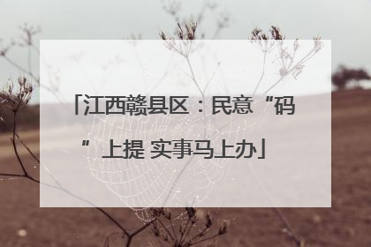 江西赣县区：民意“码”上提 实事马上办