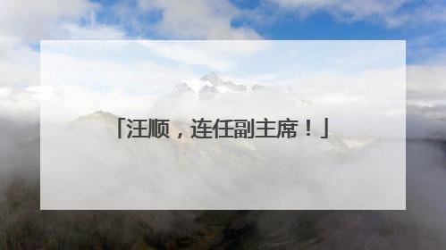 汪顺，连任副主席！