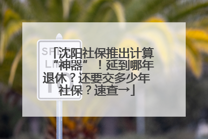 沈阳社保推出计算“神器”！延到哪年退休？还要交多少年社保？速查→