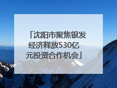 沈阳市聚焦银发经济释放530亿元投资合作机会
