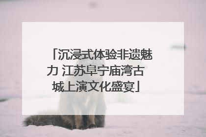 沉浸式体验非遗魅力 江苏阜宁庙湾古城上演文化盛宴