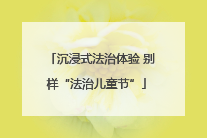 沉浸式法治体验 别样“法治儿童节”