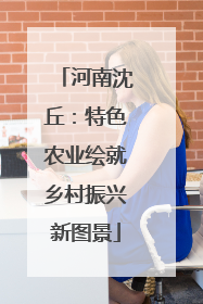 河南沈丘：特色农业绘就乡村振兴新图景