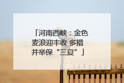 河南西峡：金色麦浪迎丰收 多措并举保“三夏”