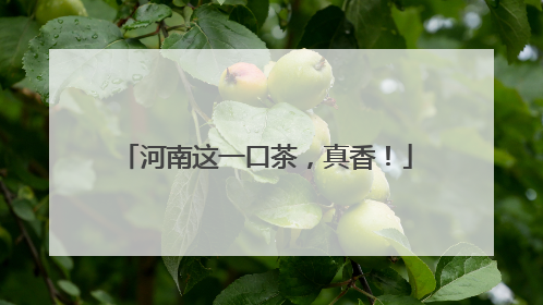 河南这一口茶，真香！