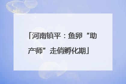 河南镇平：鱼卵“助产师”走俏孵化期