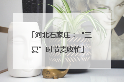 河北石家庄：“三夏”时节麦收忙