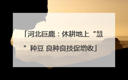 河北巨鹿：休耕地上“慧”种豆 良种良技促增收