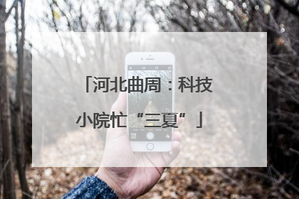 河北曲周：科技小院忙“三夏”